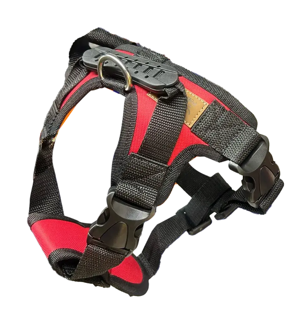 Pechera con Correa talla M 