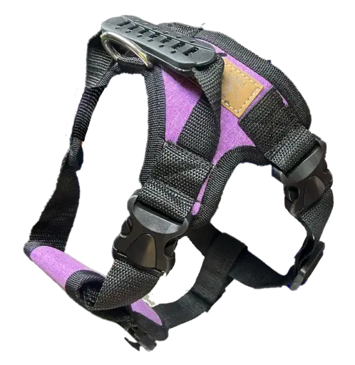 Pechera con Correa talla M 